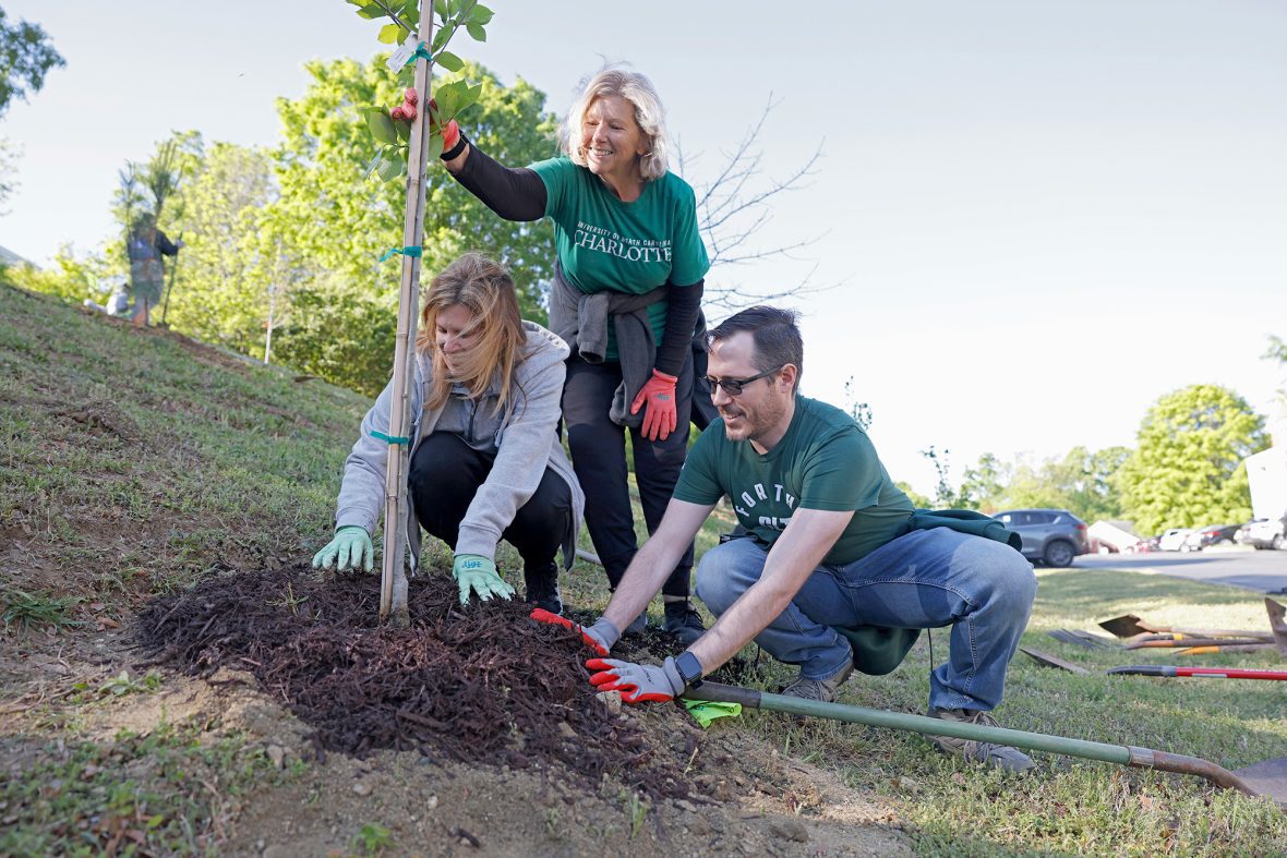 3 people planting a tree